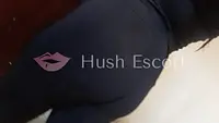  servicios eroticos  Argentina, sexosur  Argentina, escort vip  Argentina, sexo casual  Argentina, trio  Argentina | HushEscort