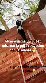 Rosicela petera 27 años argentinas cabello-negro curvy escort en misiones - oral-con-proteccion sexo-anal foto 2