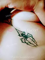 La Diosa De Concordia 29 años argentinas cabello-castano fit escort en entre rios - oral-con-proteccion trío hotel foto 5