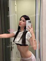 Modelos Premium