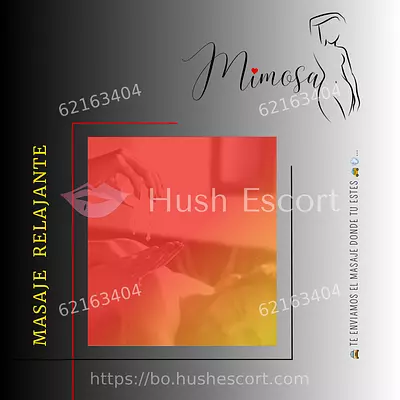 Masajes Mimosa 20 años bolivianas cabello-negro slim escort en santa cruz - masaje-erotico hotel
