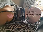 EL MEJOR GRUPO DE SEÑORITAS SOLO PARA CUMPLIR TUS MAS INTIMAS FANTASÍAS 23 años escort en ["Rancagua", "PLAZA DE LOS ENAMORADOS"] - oral-natural sexo-anal foto 2