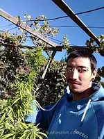 Flaquito bien dotado de 27cm 18 años escort en biobio foto 1