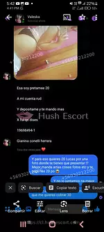 Escorts puta la serena peñuelas chilena milf madurita lugar propio independiente 40 años chilenas cabello-negro curvy escort en coquimbo - oral-natural oral-con-proteccion apartamento-propio foto 5