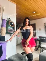 VIP discreta cariñosa culoncita hot servicio a domicilio desde la hora todo bien rico y sin limites 24 años chilenas cabello-negro slim escort en araucania - oral-natural oral-con-proteccion foto 3