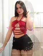 Hermosa blanquita disponibles para complacerte 2010 años escort en ["Santiago Centro", "Santiago centro av portugal 10 de julio"] - sexo-a-pelo masaje-erotico foto 4