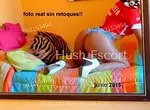 RUBY EXQUISITA Y GOLOSA JOVENCITA SERVICIO DE LUJO INSACIABLE Masajes descontrasturantes relajacion .. en todo tu cuerpo ven a disfrutar 27 años escort en ["Temuco", "Centro"] - sexo-a-pelo eyaculacion-corporal foto 7