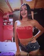 Hola, mi vida, me llamo Dayana, una maravillosa y atractiva escort de 22 años de edad 22 años escort en ["Santiago Centro", "Huérfano amunategui estación central"] - experiencia-de-novia besos-boca foto 1